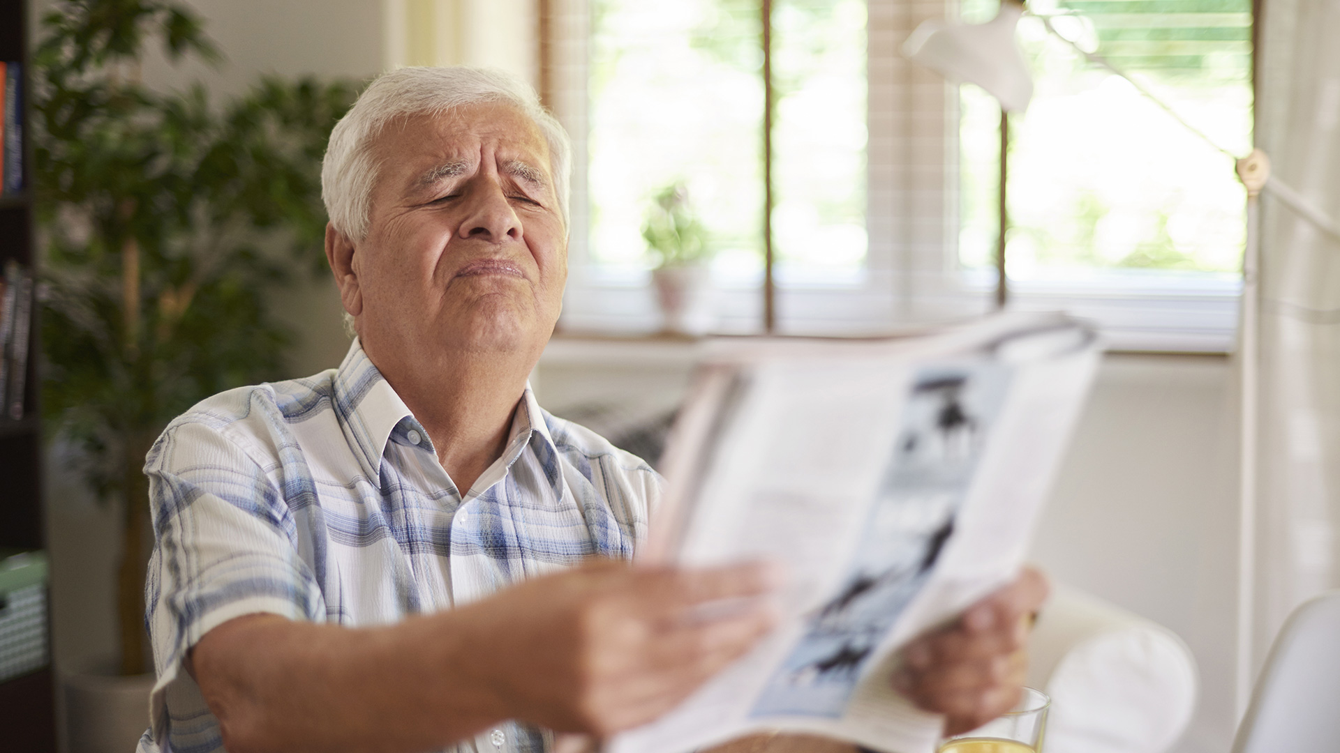 dégénérescence maculaire